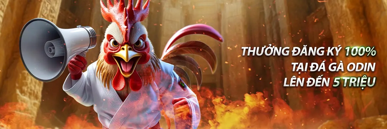 Giao diện ứng dụng b66 club trên điện thoại